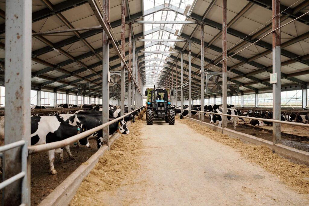 electricite elevage laitier ventilation mecanisation - évole électricité